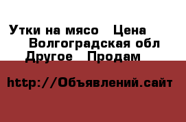 Утки на мясо › Цена ­ 250 - Волгоградская обл. Другое » Продам   